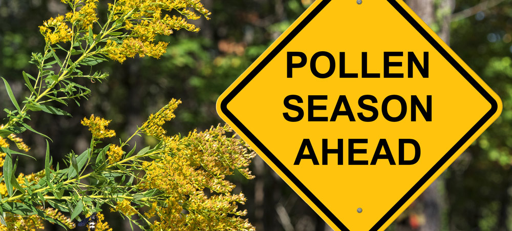 Managing Pollen Reactions